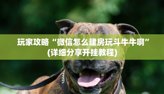  玩家攻略“新道游房卡在哪可以充值到我号上""低价获取"!’分享房卡给大家