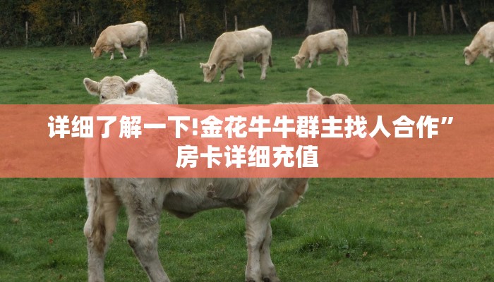 详细了解一下!金花牛牛群主找人合作”房卡详细充值 详细了解一下!金花牛牛群主找人合作”房卡详细充值
