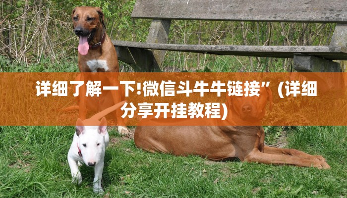  房卡百科“牛牛房卡在哪获取”详细分享开挂教程