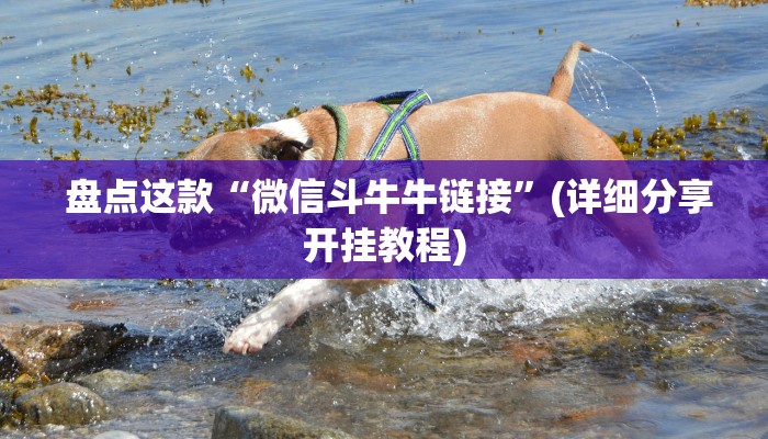  盘点这款“微信斗牛牛链接”(详细分享开挂教程)