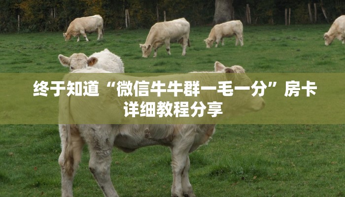  震惊“微信牛牛房卡链接科技”(确实真的有挂)