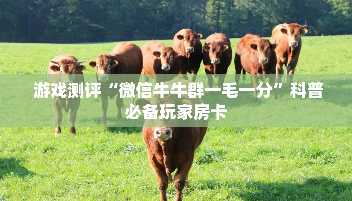 6分钟了解!“微信炸金花房卡在哪里购买”教程房卡分享 6分钟了解!“微信炸金花房卡在哪里购买”教程房卡分享