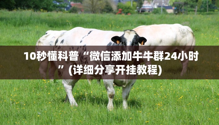 10秒懂科普“微信添加牛牛群24小时”(详细分享开挂教程) 10秒懂科普“微信添加牛牛群24小时”(详细分享开挂教程)