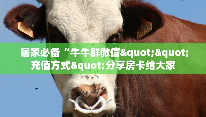 终于解决“充值金花链接房卡“必胜”的ai辅助神器 终于解决“充值金花链接房卡“必胜”的ai辅助神器