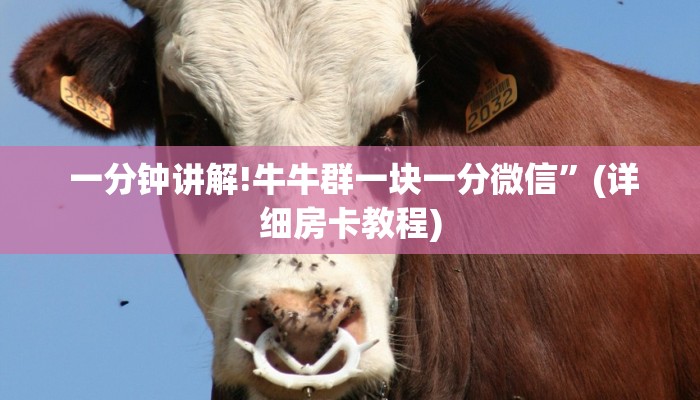 玩家推荐“微信炸金花房卡怎么收费”获取房卡教程 玩家推荐“微信炸金花房卡怎么收费”获取房卡教程