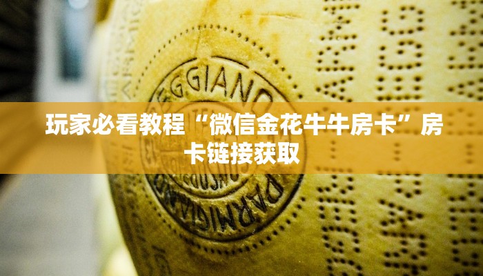 玩家必看教程“新道游正版游戏房卡”科普玩家房卡 玩家必看教程“新道游正版游戏房卡”科普玩家房卡