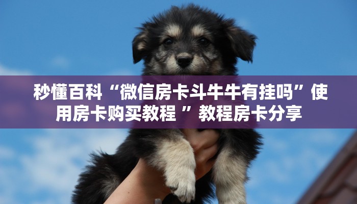 内幕解析“皇豪众娱房卡代理价格”房卡实战经验 内幕解析“皇豪众娱房卡代理价格”房卡实战经验