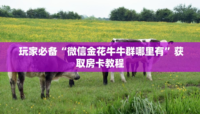 玩家必备“微信金花牛牛群哪里有”获取房卡教程 玩家必备“微信金花牛牛群哪里有”获取房卡教程