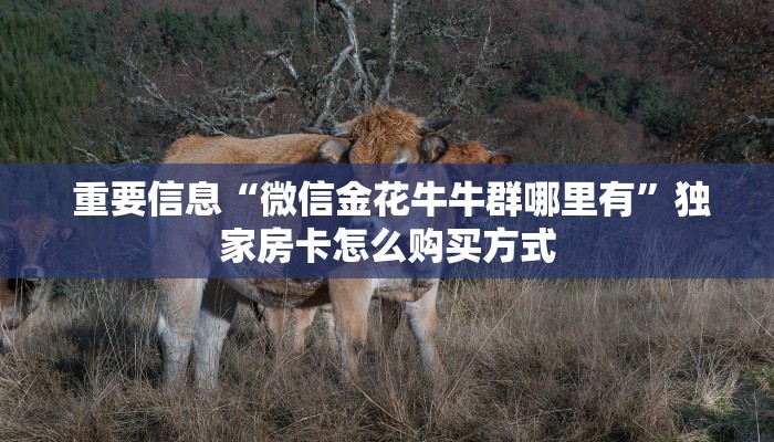 重要信息“微信金花牛牛群哪里有”独家房卡怎么购买方式 重要信息“微信金花牛牛群哪里有”独家房卡怎么购买方式