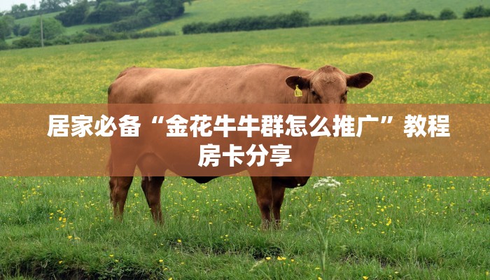  居家必备“金花牛牛群怎么推广”教程房卡分享