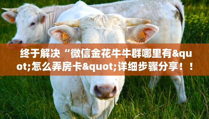玩家必备“皇豪互娱怎么弄房卡”房卡详细充值 玩家必备“皇豪互娱怎么弄房卡”房卡详细充值