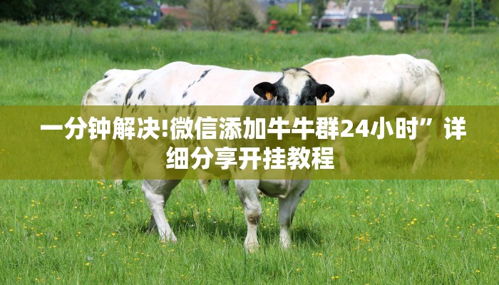 一分钟解决!微信添加牛牛群24小时”详细分享开挂教程 一分钟解决!微信添加牛牛群24小时”详细分享开挂教程
