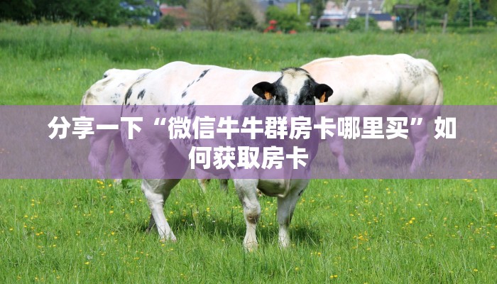  内幕揭晓“可以加微信上分下分的棋牌”科普必备玩家房卡