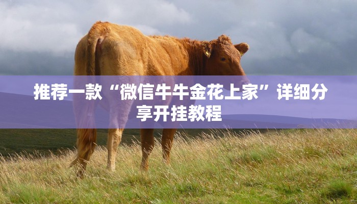  推荐一款“微信牛牛金花上家”详细分享开挂教程