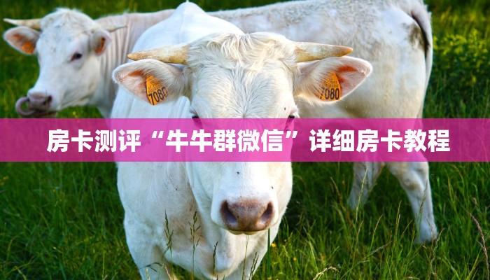  哪里有怎么找“微信金花房卡哪里获取”(详细分享开挂教程)