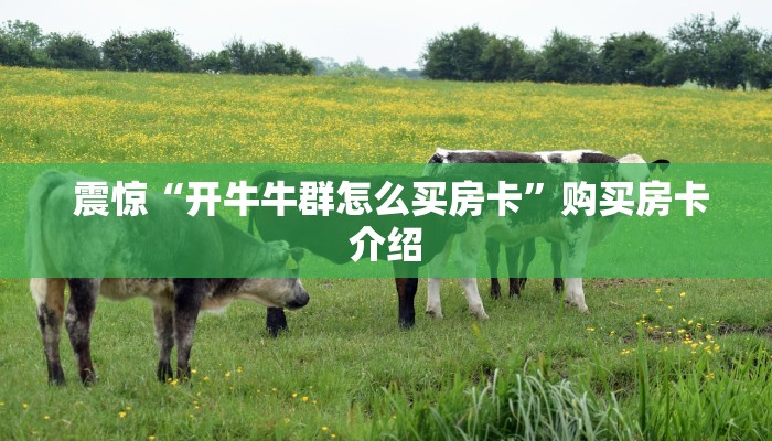  玩家攻略“牛牛群二维码”详细房卡点评
