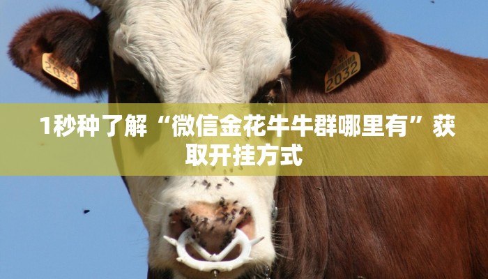 1秒种了解“微信金花牛牛群哪里有”获取开挂方式 1秒种了解“微信金花牛牛群哪里有”获取开挂方式