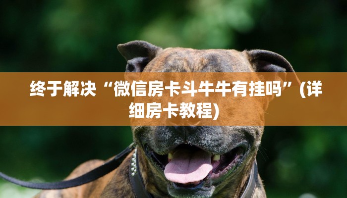  玩家测评“微信牛牛群一毛一分”房卡链接获取