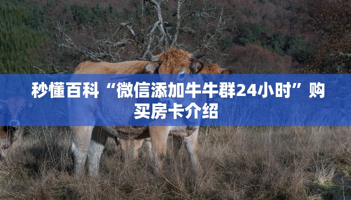  一分钟了解“微信牛牛房卡链接怎么买”详细房卡点评