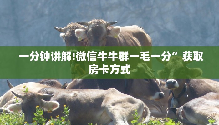 一分钟讲解!微信牛牛群一毛一分”获取房卡方式 一分钟讲解!微信牛牛群一毛一分”获取房卡方式