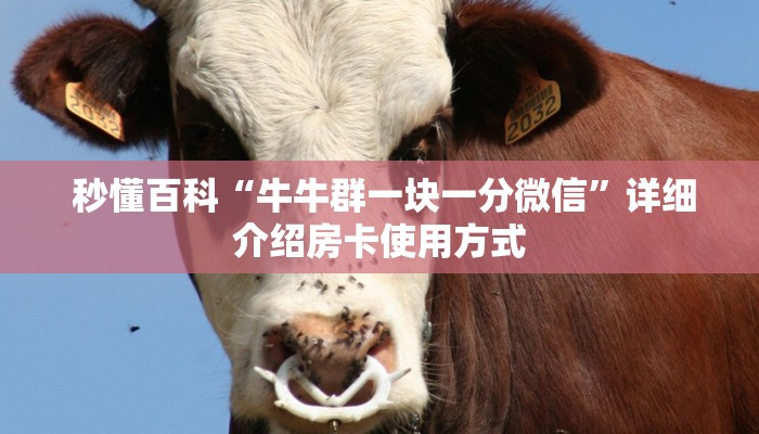 秒懂百科“牛牛群一块一分微信”详细介绍房卡使用方式 秒懂百科“牛牛群一块一分微信”详细介绍房卡使用方式