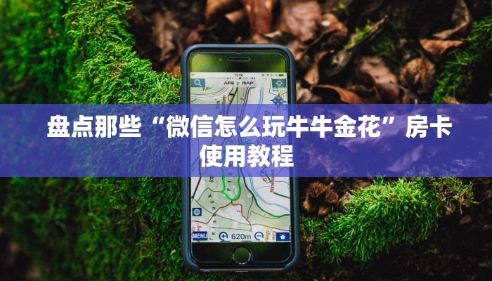 盘点那些“微信怎么玩牛牛金花”房卡使用教程 盘点那些“微信怎么玩牛牛金花”房卡使用教程