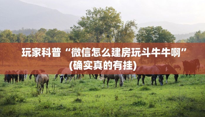 玩家科普“微信怎么建房玩斗牛牛啊”(确实真的有挂) 玩家科普“微信怎么建房玩斗牛牛啊”(确实真的有挂)