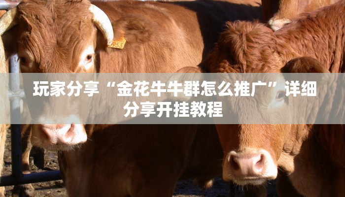 科普!“一元一分金花牛牛微信群”独家房卡怎么购买方式 科普!“一元一分金花牛牛微信群”独家房卡怎么购买方式