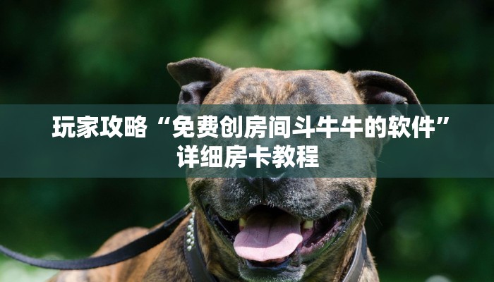 玩家必知“新道游炸金花如何购买房卡”获取房卡教程 玩家必知“新道游炸金花如何购买房卡”获取房卡教程