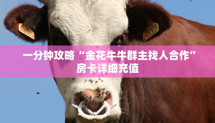一分钟攻略“金花牛牛群主找人合作”房卡详细充值 一分钟攻略“金花牛牛群主找人合作”房卡详细充值