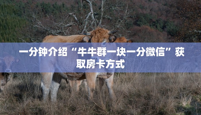 一分钟介绍“牛牛群一块一分微信”获取房卡方式 一分钟介绍“牛牛群一块一分微信”获取房卡方式