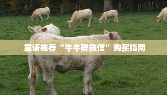  三分钟讲解“微信房卡炸金花链接挂软件名”(详细分享开挂教程)