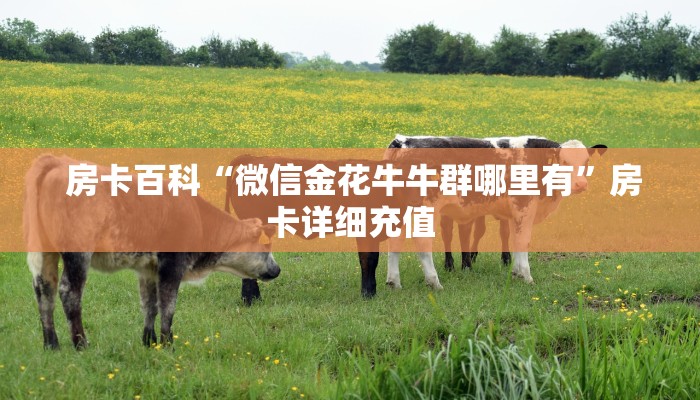  一分钟介绍“牛牛金花群二维码”房卡使用大全
