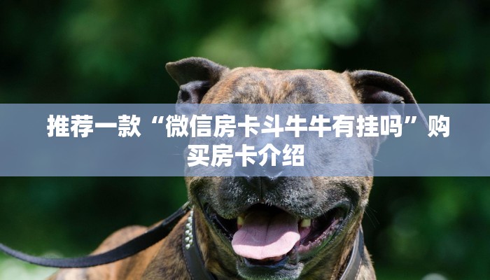  居家必备“房卡牛牛官网下载”房卡使用方法介绍