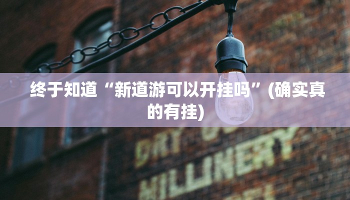 终于知道“新道游可以开挂吗”(确实真的有挂) 终于知道“新道游可以开挂吗”(确实真的有挂)