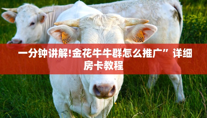 一分钟讲解!金花牛牛群怎么推广”详细房卡教程 一分钟讲解!金花牛牛群怎么推广”详细房卡教程
