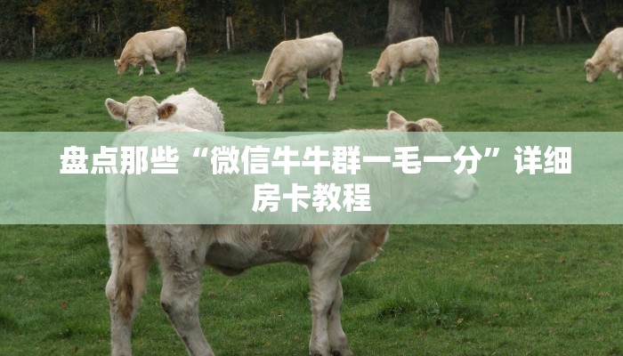  独家解读“微信牛牛房卡游戏代理”房卡如何领取