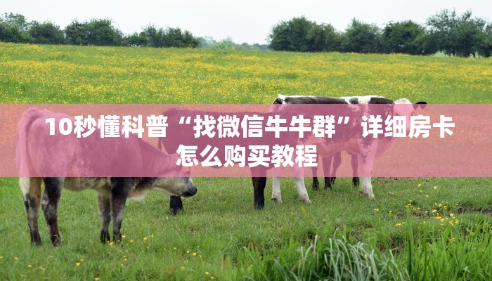  分享干货“一元一分金花牛牛微信群”详细获取房卡教程