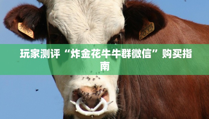 一分钟讲解!微信牛牛正版反杀”科技获取房卡教程 一分钟讲解!微信牛牛正版反杀”科技获取房卡教程