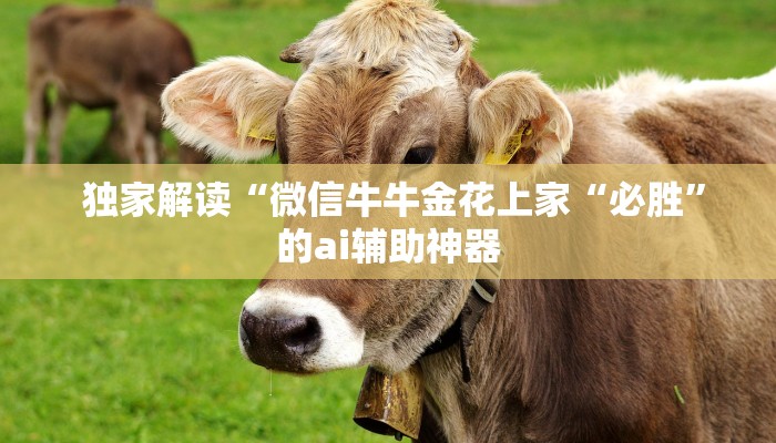  独家解读“微信牛牛金花上家“必胜”的ai辅助神器