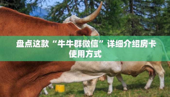 盘点这款“牛牛群微信”详细介绍房卡使用方式 盘点这款“牛牛群微信”详细介绍房卡使用方式