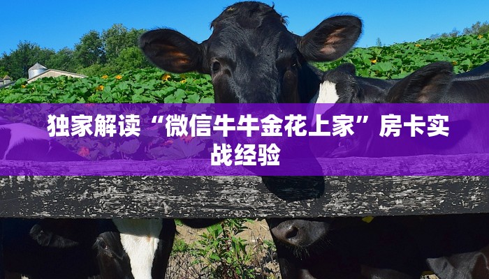  靠谱推荐“微信牛牛链接版 有房卡”房卡实战经验