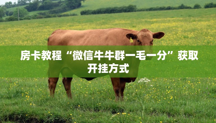  房卡教程“微信牛牛群一毛一分”获取开挂方式