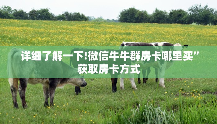  实时重点“微信牛牛房卡链接在哪弄得""充值方式"分享房卡给大家