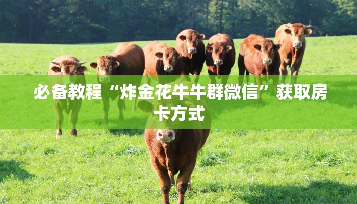 必备教程“炸金花牛牛群微信”获取房卡方式 必备教程“炸金花牛牛群微信”获取房卡方式