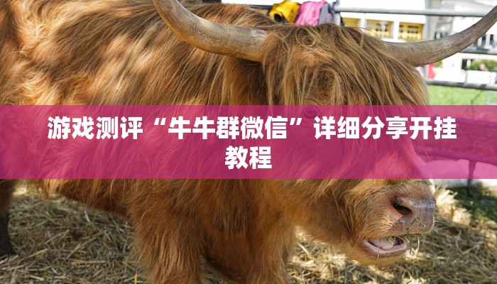  秒懂百科“皇豪互众怎么买房卡""低价获取"!’分享房卡给大家