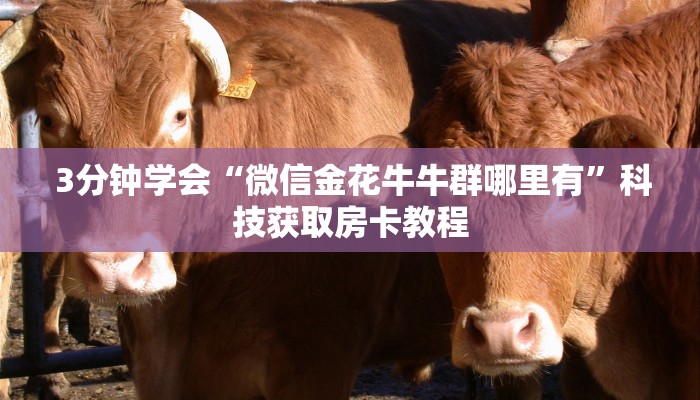  玩家分享“牛牛金花三公房卡软件”科普玩家房卡