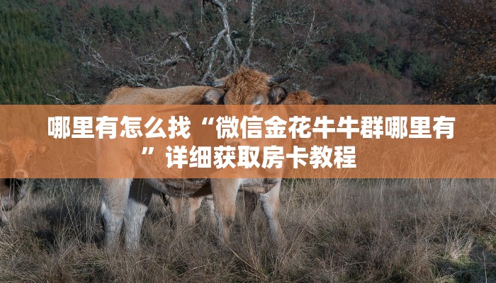 房卡必备教程“微信牛牛房卡在哪里充值”详细分享开挂教程 房卡必备教程“微信牛牛房卡在哪里充值”详细分享开挂教程