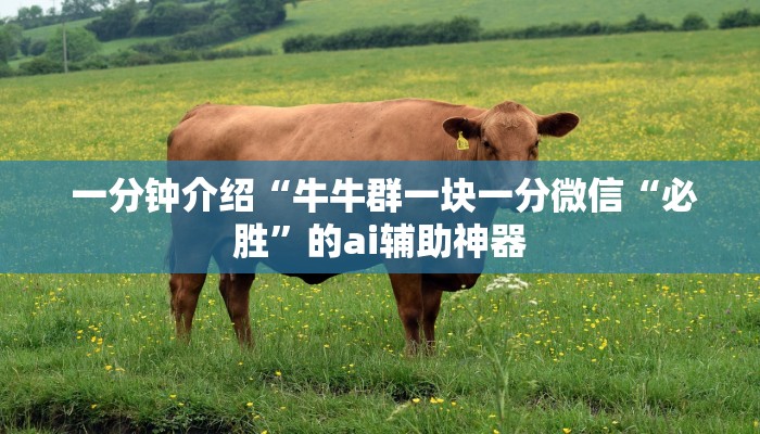 一分钟介绍“牛牛群一块一分微信“必胜”的ai辅助神器 一分钟介绍“牛牛群一块一分微信“必胜”的ai辅助神器