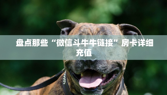 必看教程“新道游大厅怎么开挂”详细介绍房卡使用方式 必看教程“新道游大厅怎么开挂”详细介绍房卡使用方式